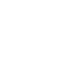 Photoshop Logo